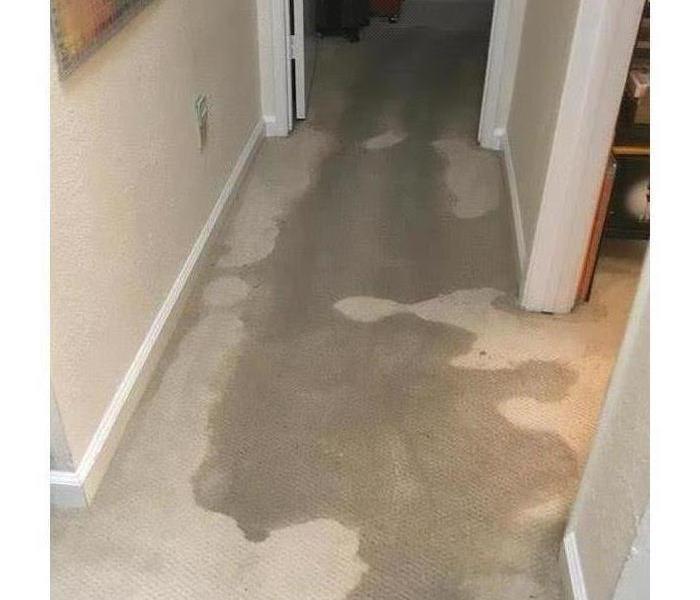 Affected carpet 