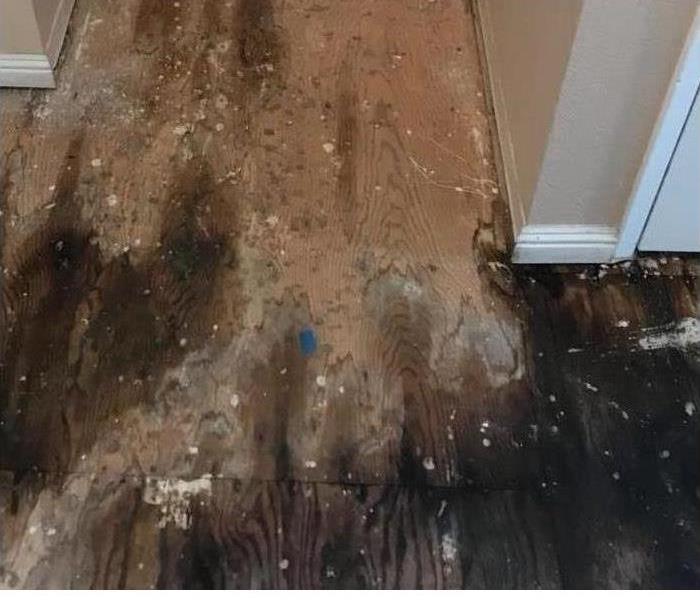 affected flooring by water 